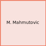 M. Mahmutovic
